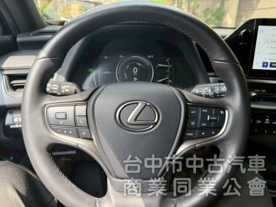 車況漂亮，旅遊小休旅車款