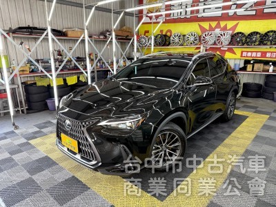 2024年 LEXUS NX200 CARPLAY 環景 可全貸
