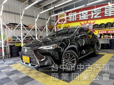 2024年 LEXUS NX200 CARPLAY 環景 可全貸
