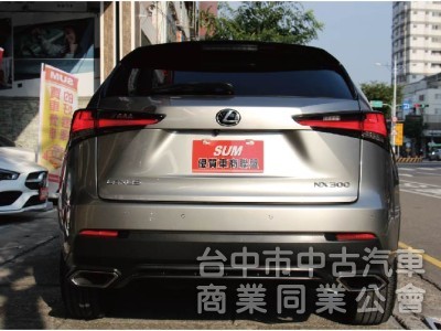 ⭕2018年NX300✅頂級版✅電動天窗✅後座電動椅✅通風加熱座椅✅ACC跟車✅渦輪增壓✅原鈑件✅原廠保養紀錄完整