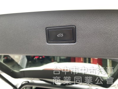 2020 Tiguan 280 TSI　原鈑件/里程保證/原廠保養/ACC跟車/電尾腳踢/數位儀錶板/環景/盲點