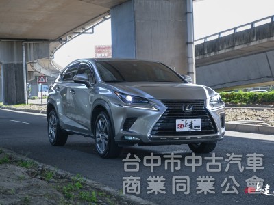 2020 LEXUS NX200豪華版