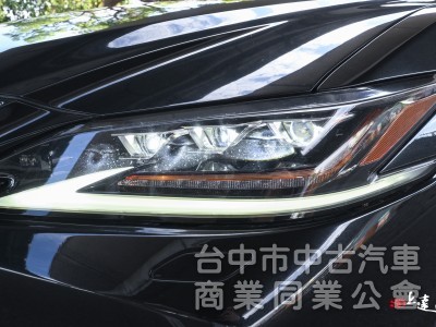 2020 Lexus ES 300h旗艦版