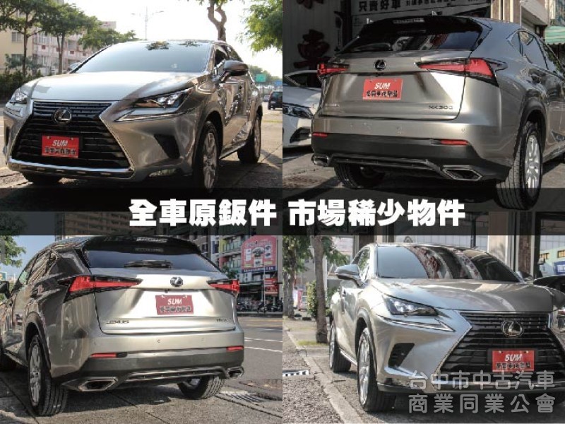 ⭕2018年NX300✅頂級版✅電動天窗✅後座電動椅✅通風加熱座椅✅ACC跟車✅渦輪增壓✅原鈑件✅原廠保養紀錄完整