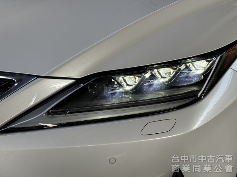 2021 Lexus RX 300豪華版