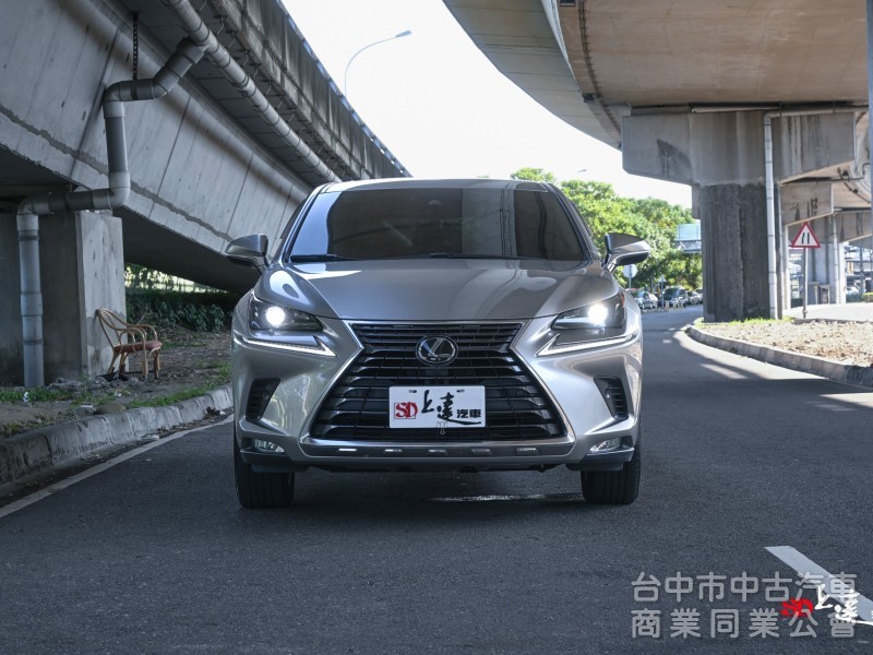 2020 LEXUS NX200豪華版