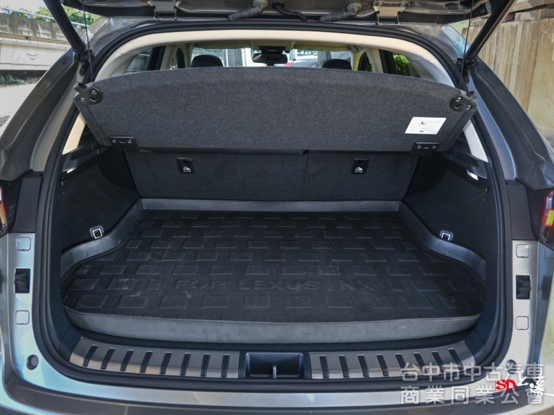 2020 LEXUS NX200豪華版